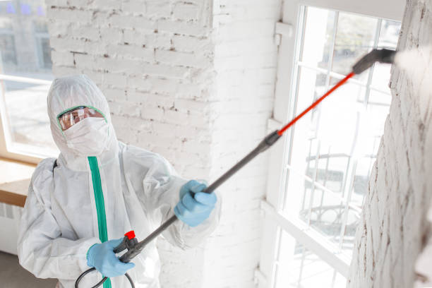 Best Emergency Mold Remediation  in Plum, PA