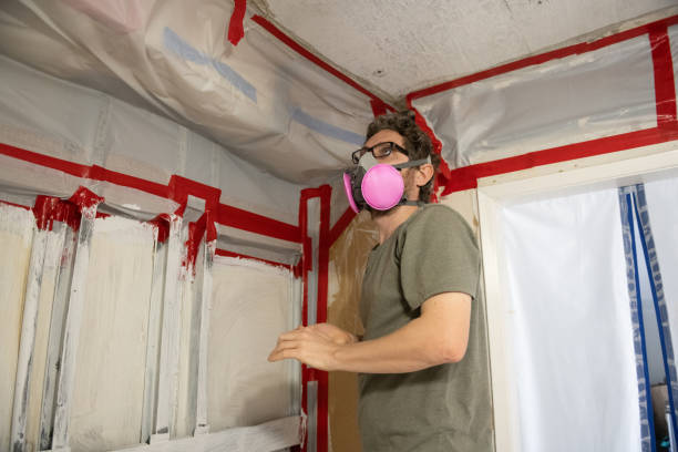 Best Environmental Consulting for Mold Prevention  in Plum, PA