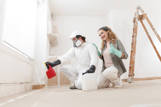 Best Water Damage & Mold Remediation  in Plum, PA
