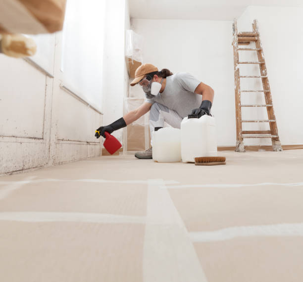 Best Mold Damage Restoration  in Plum, PA