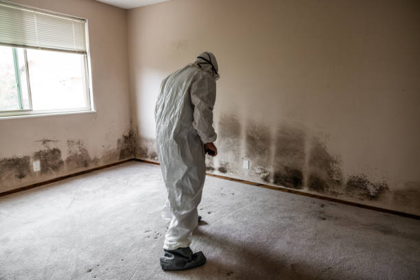 Best Industrial Mold Remediation  in Plum, PA